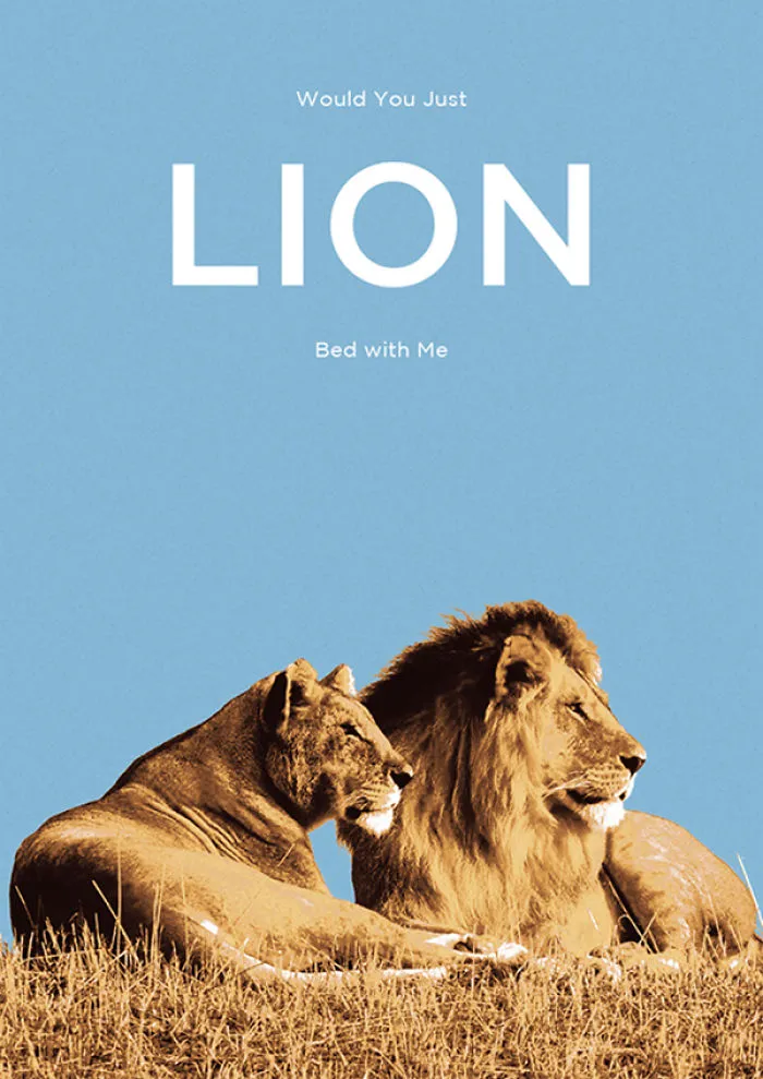 I Created Animal Pun Greeting Cards