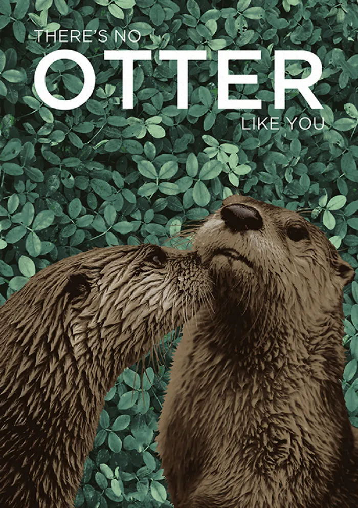 I Created Animal Pun Greeting Cards