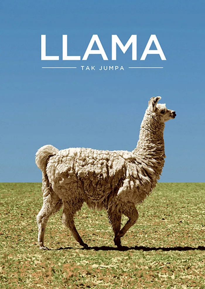 I Created Animal Pun Greeting Cards