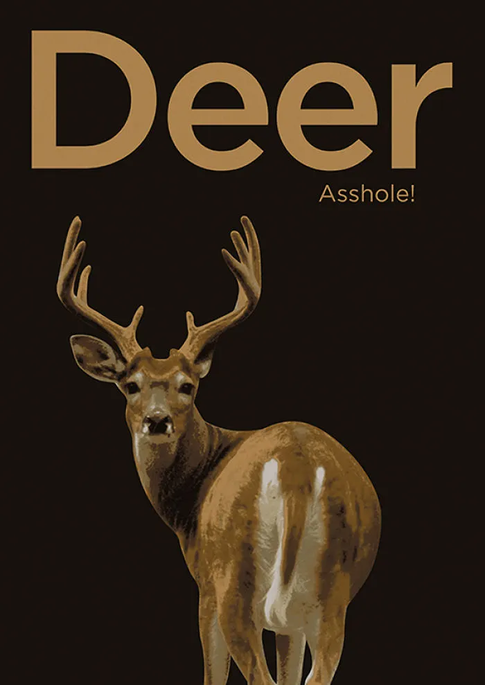 I Created Animal Pun Greeting Cards