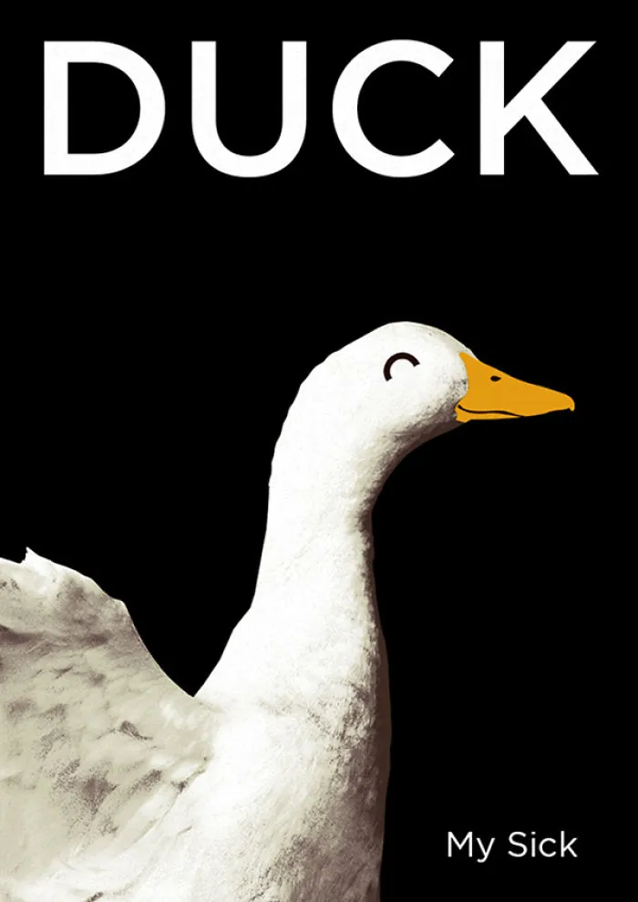 I Created Animal Pun Greeting Cards