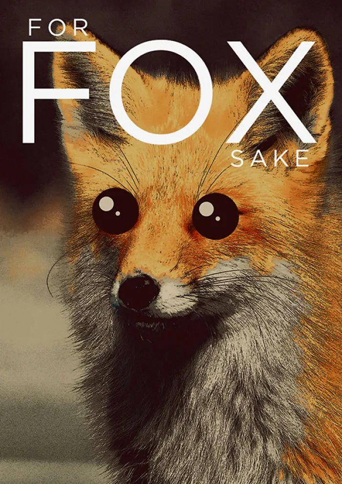 I Created Animal Pun Greeting Cards