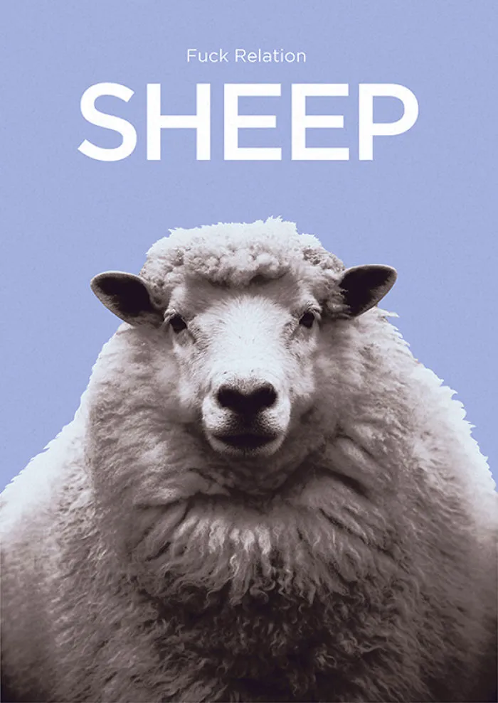 I Created Animal Pun Greeting Cards