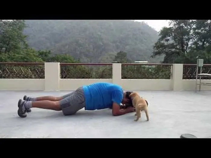 Workout With Furry Friends