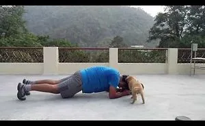 Workout With Furry Friends