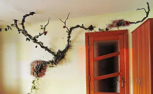 I 'Plant' Trees In People's Homes And Bring Animals To Life