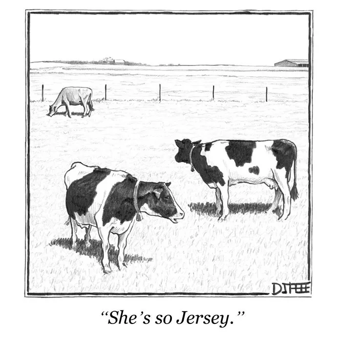 142 Of The Funniest New Yorker Cartoons Ever