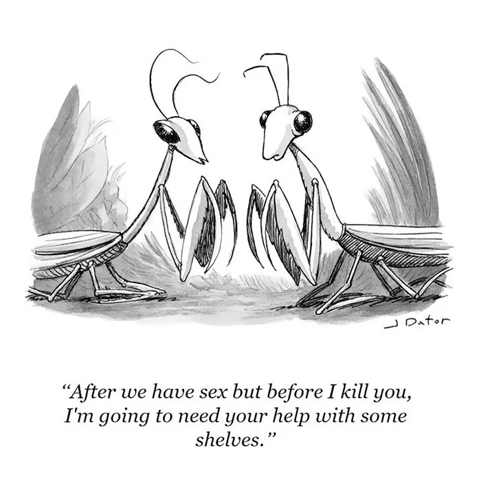 142 Of The Funniest New Yorker Cartoons Ever