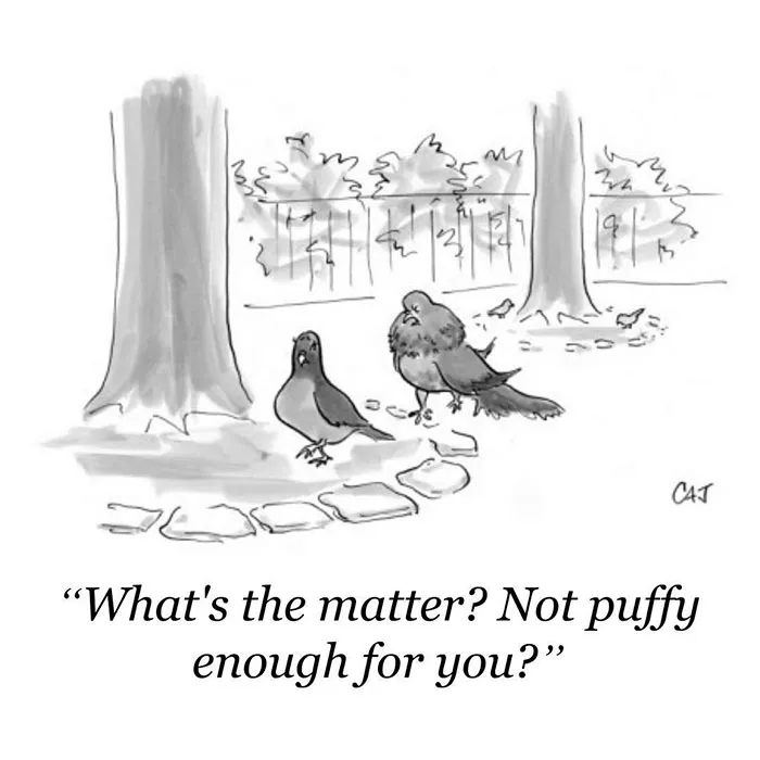 142 Of The Funniest New Yorker Cartoons Ever