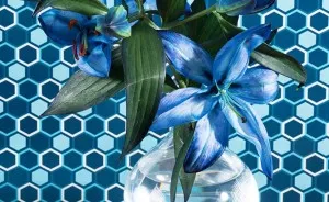 These Flowers Will Let You Meet All Of My Friends