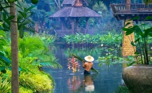 How I Met The Gardener Of Dreams