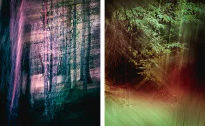 I Make Photography That Feels Like Peaking An LSD Trip