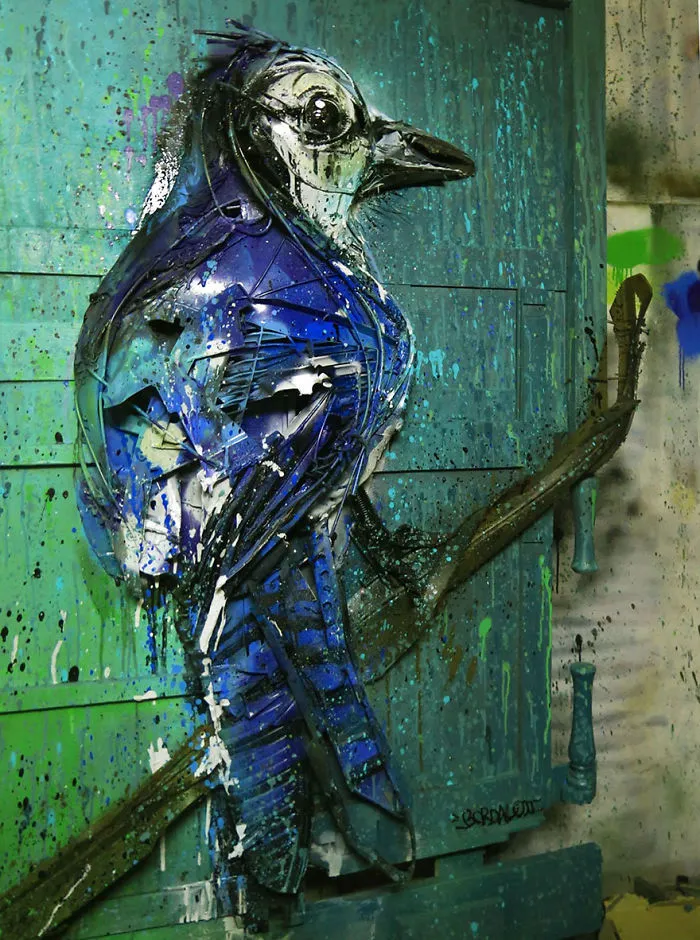 Blue Jay