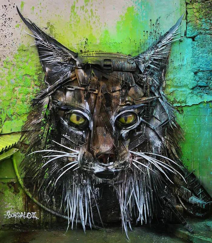 Lince Ibérico