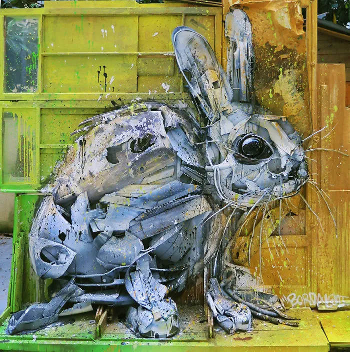 Bunny