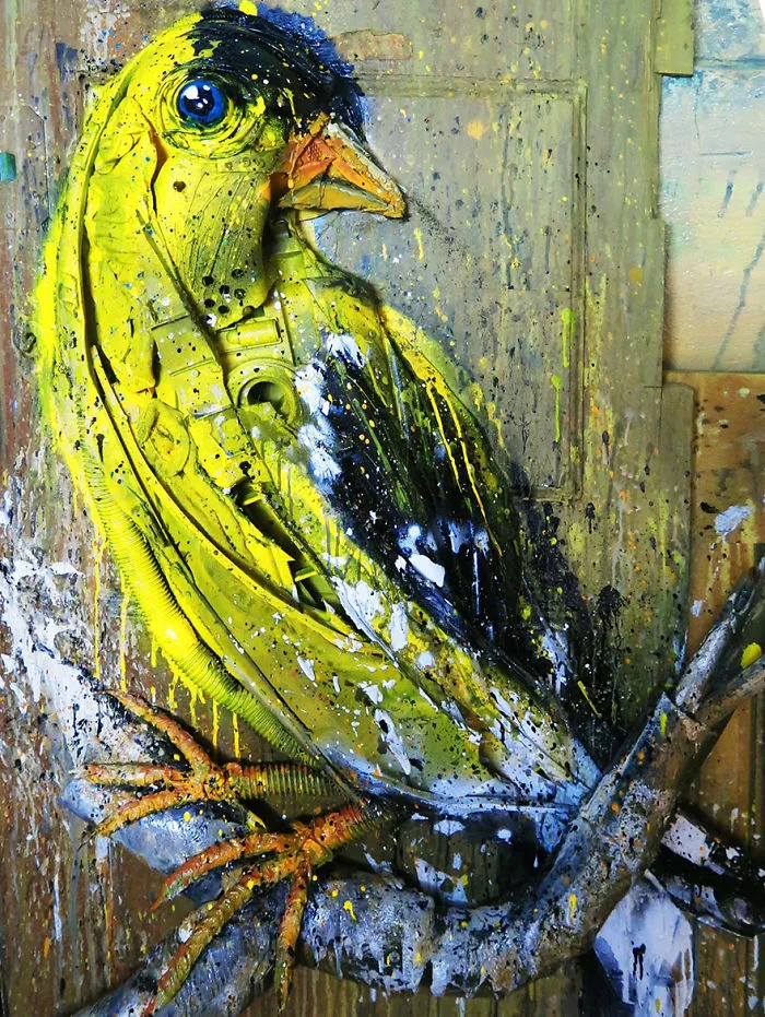Gold Finch