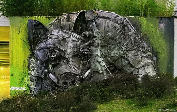 Wild Boar