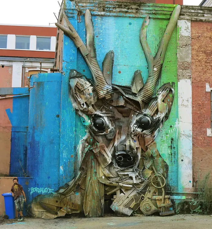 Deer