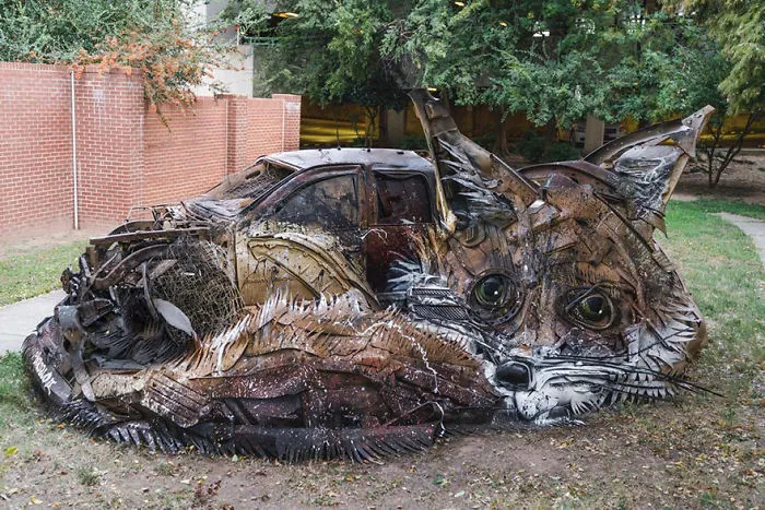 Fox