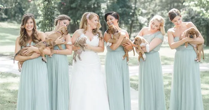 This Wedding Party Had Rescue Puppies Instead Of Flowers To Send A Beautiful Message