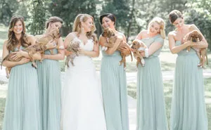This Wedding Party Had Rescue Puppies Instead Of Flowers To Send A Beautiful Message