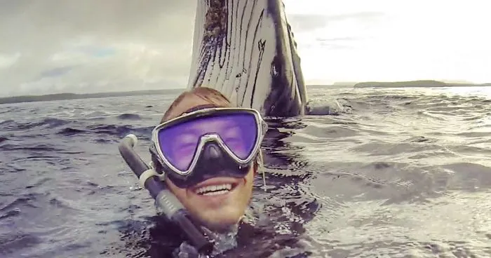 Guy Gets Photobombed By Whale