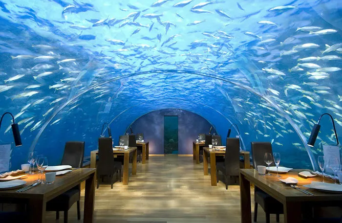 Dine Five Metres Below The Surface, Ithaa Undersea Restaurant, Alif Dhaal Atoll, Maldives