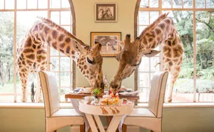 15 De los restaurantes más increíbles del mundo en los que comer antes de morir