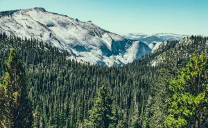 Shots From Yosemite National Park At Sunset