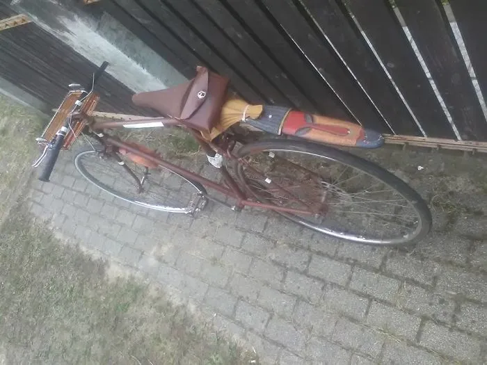 Renweing From Almost Everything