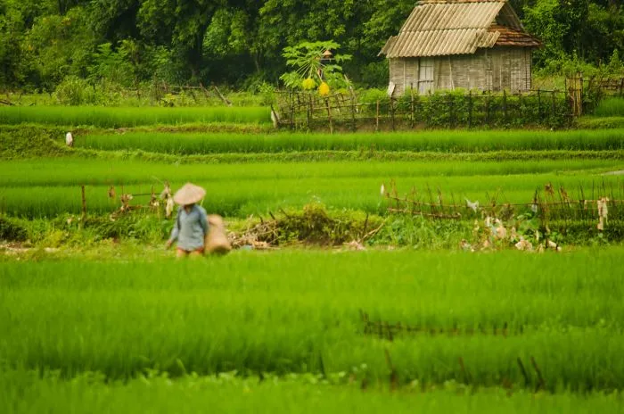 A Couple Of Days In Mai Chau.