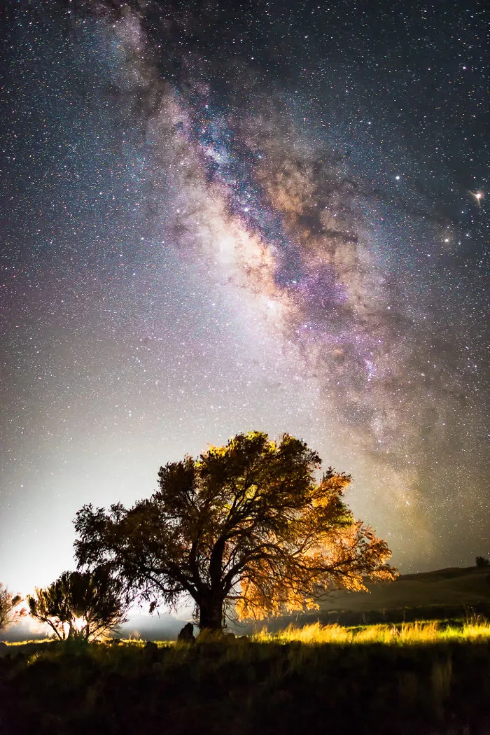 I Spent The Summer Photographing The Milky Way Galaxy In Hawaii
