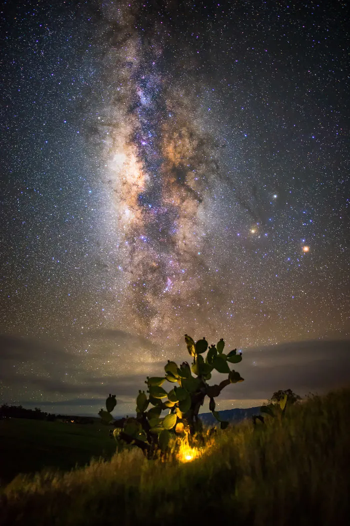 I Spent The Summer Photographing The Milky Way Galaxy In Hawaii