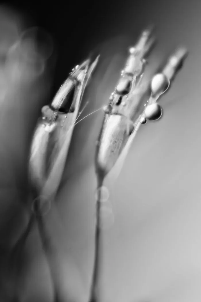 Monochromatic Expressions ­-Sequence Of Light, Form And Imagination