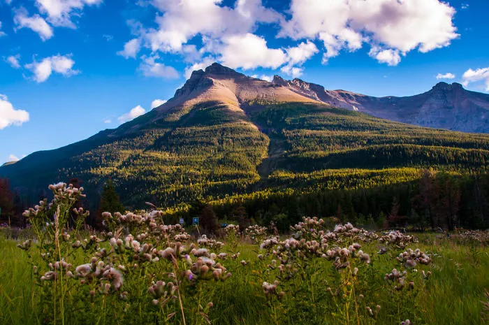If My Instagram Doesn't Make You Book The Flight To Canada, Nothing Will