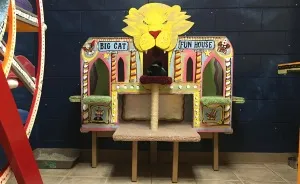 I Created A Carnival Room For Cats In Animal Shelter