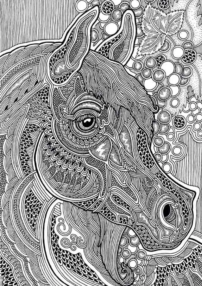 I Create Higly Detailed Drawings Of Horses