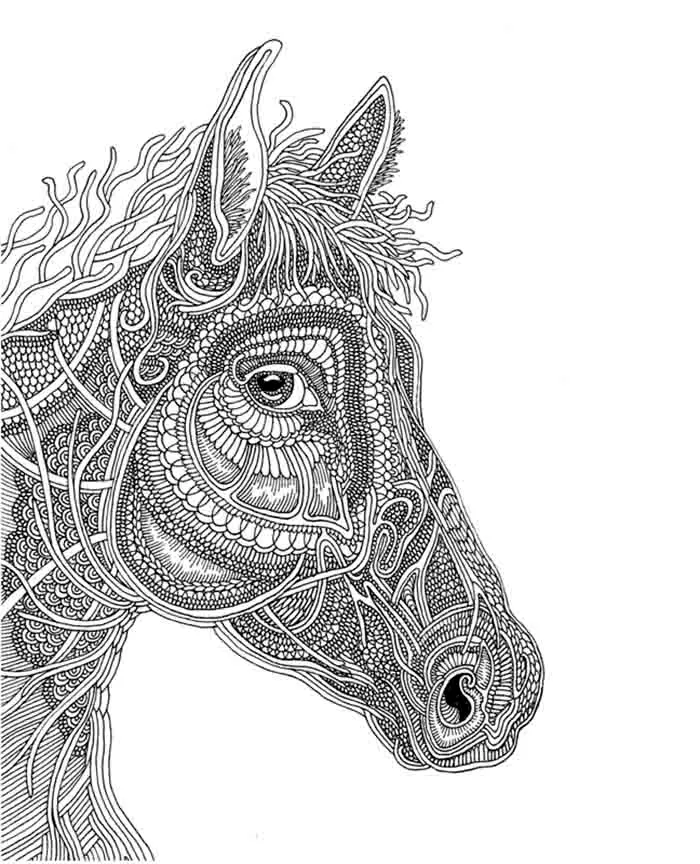 I Create Higly Detailed Drawings Of Horses