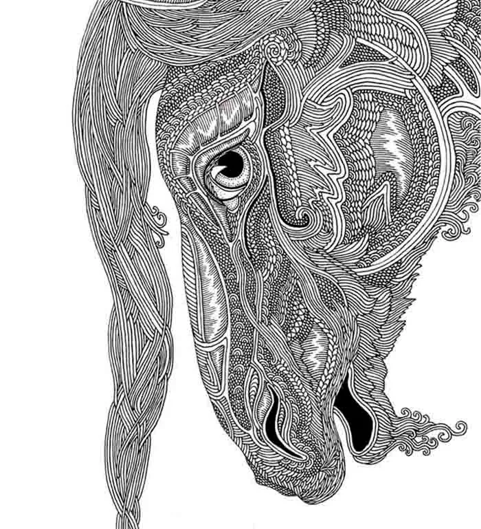 I Create Higly Detailed Drawings Of Horses