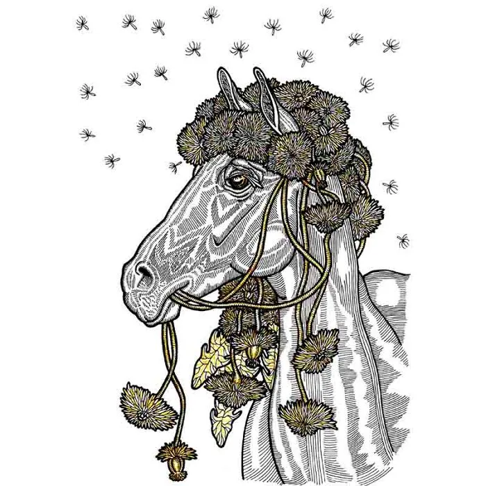 I Create Higly Detailed Drawings Of Horses