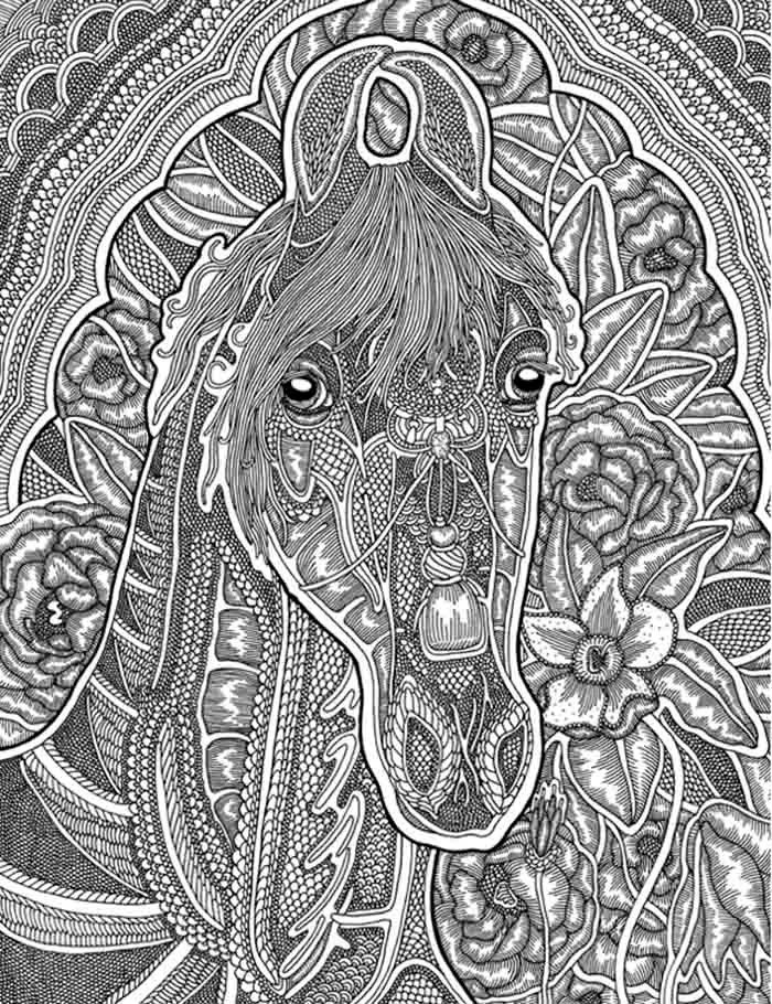 I Create Higly Detailed Drawings Of Horses