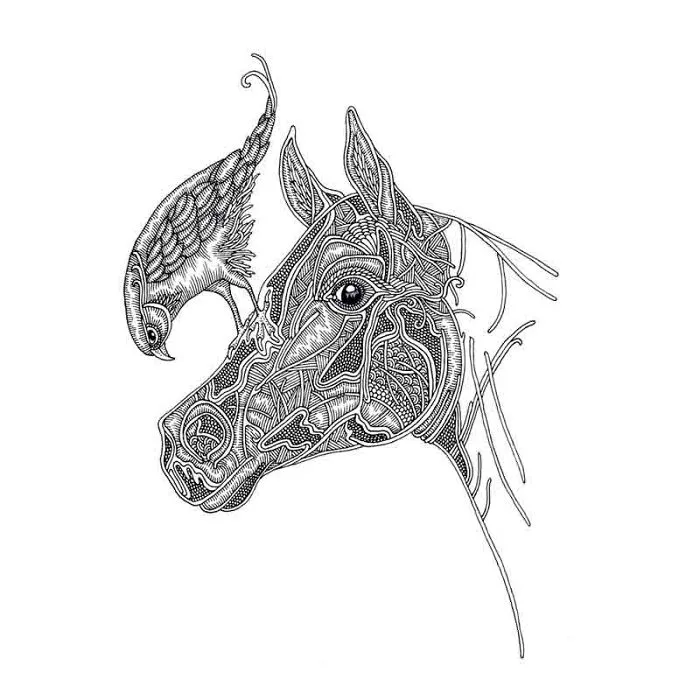 I Love To Draw Horses
