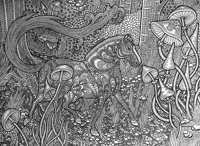 I Create Higly Detailed Drawings Of Horses