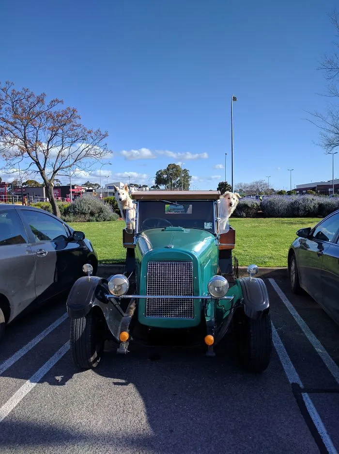 Hello - Were You Admiring Our Car?