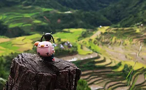 Exploring The Philippines With Toys As Travel Buddies