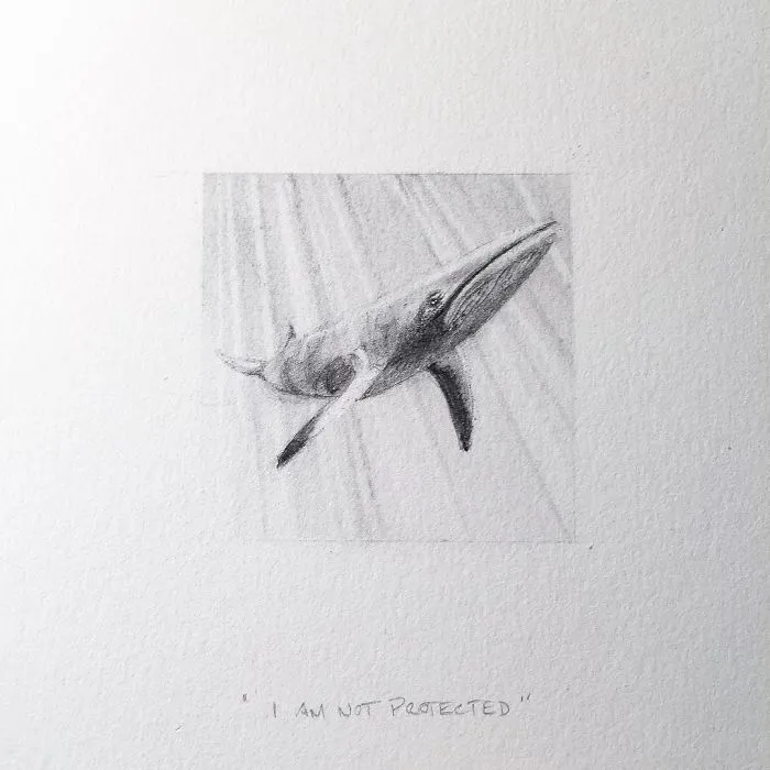 I Gave Up My Career To Raise A Family And To Stay Creative I Started Drawing Miniatures Every Day