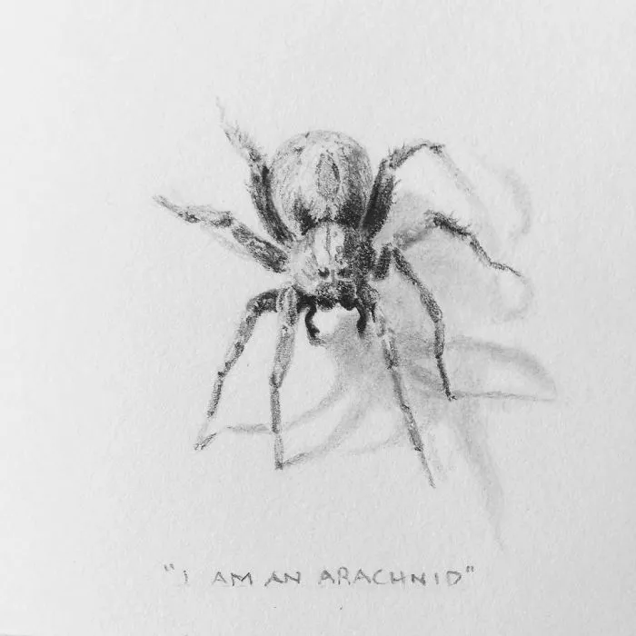 I Gave Up My Career To Raise A Family And To Stay Creative I Started Drawing Miniatures Every Day