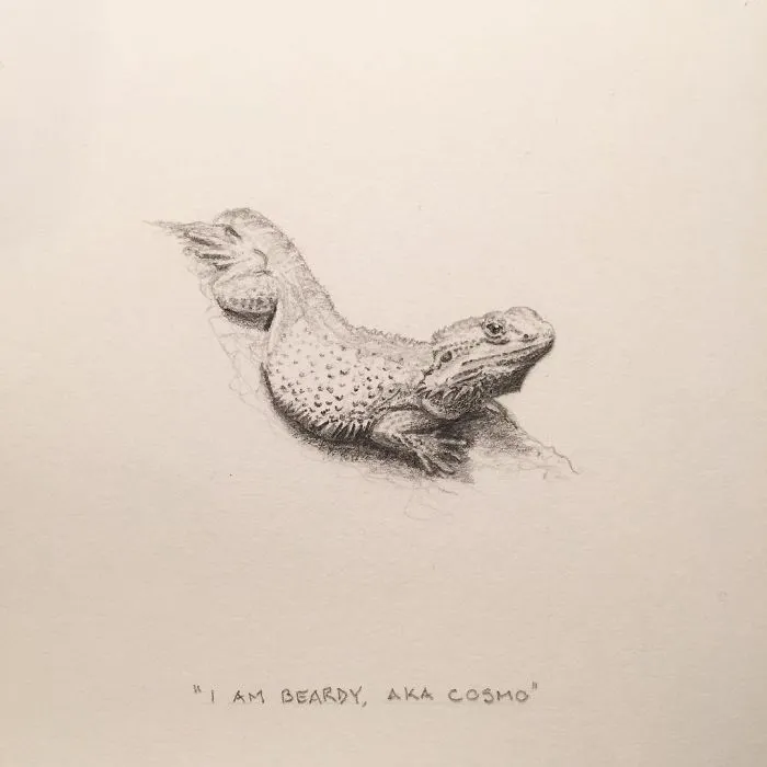 I Gave Up My Career To Raise A Family And To Stay Creative I Started Drawing Miniatures Every Day