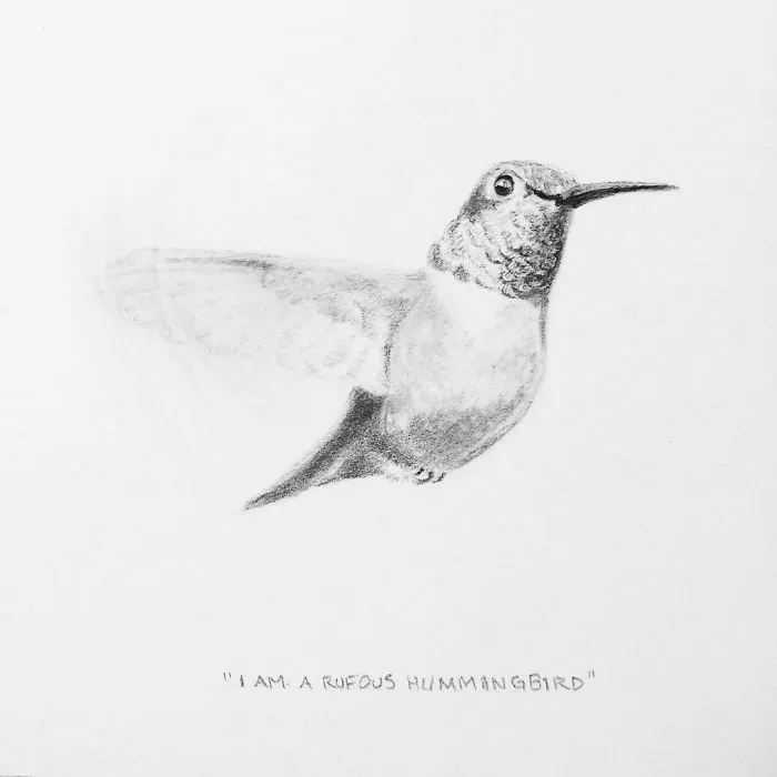 I Gave Up My Career To Raise A Family And To Stay Creative I Started Drawing Miniatures Every Day