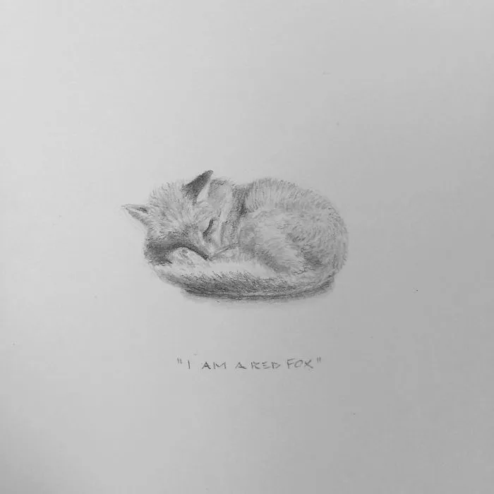 I Gave Up My Career To Raise A Family And To Stay Creative I Started Drawing Miniatures Every Day